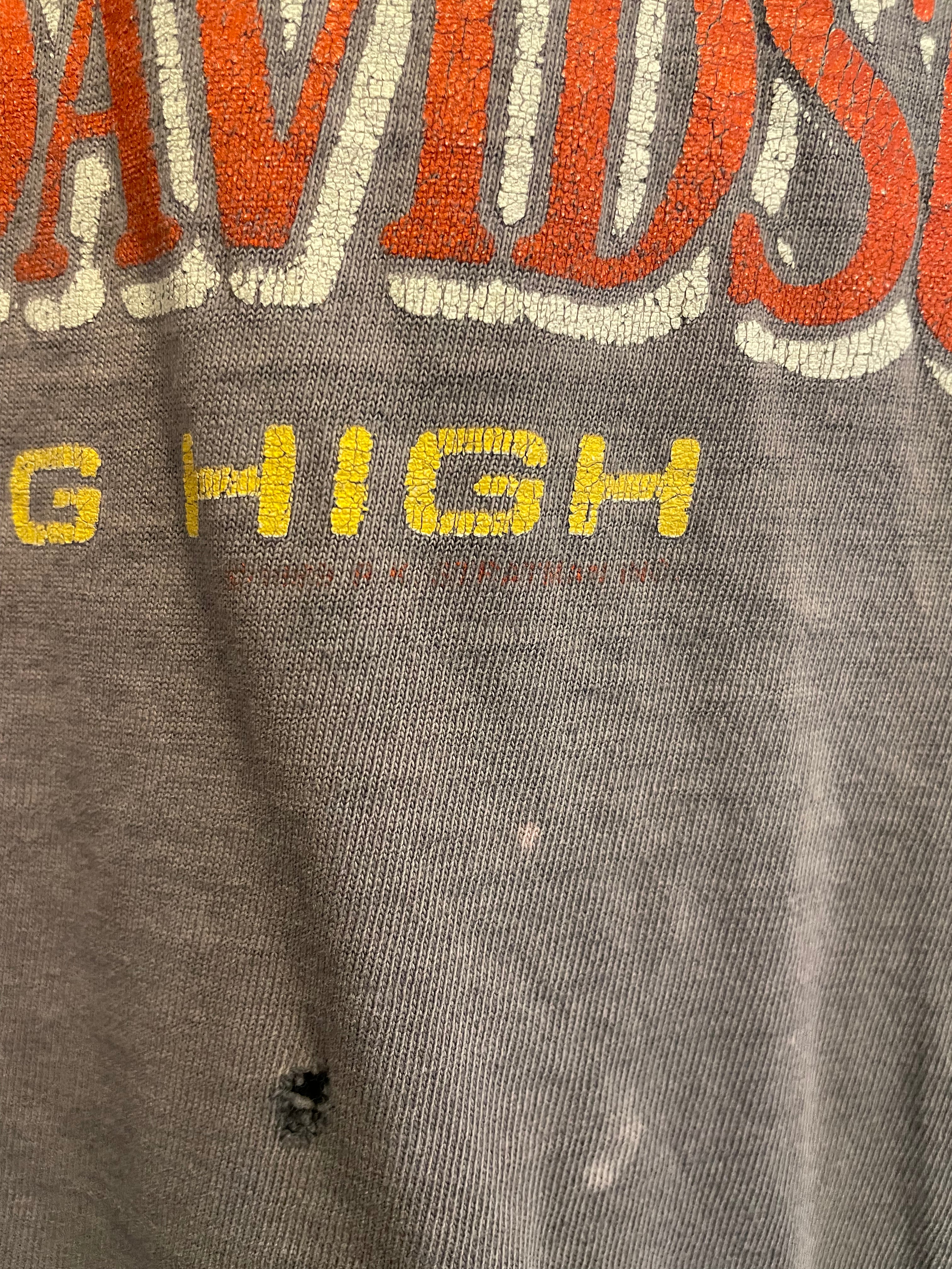 90s Faded Harley Davidson (L)